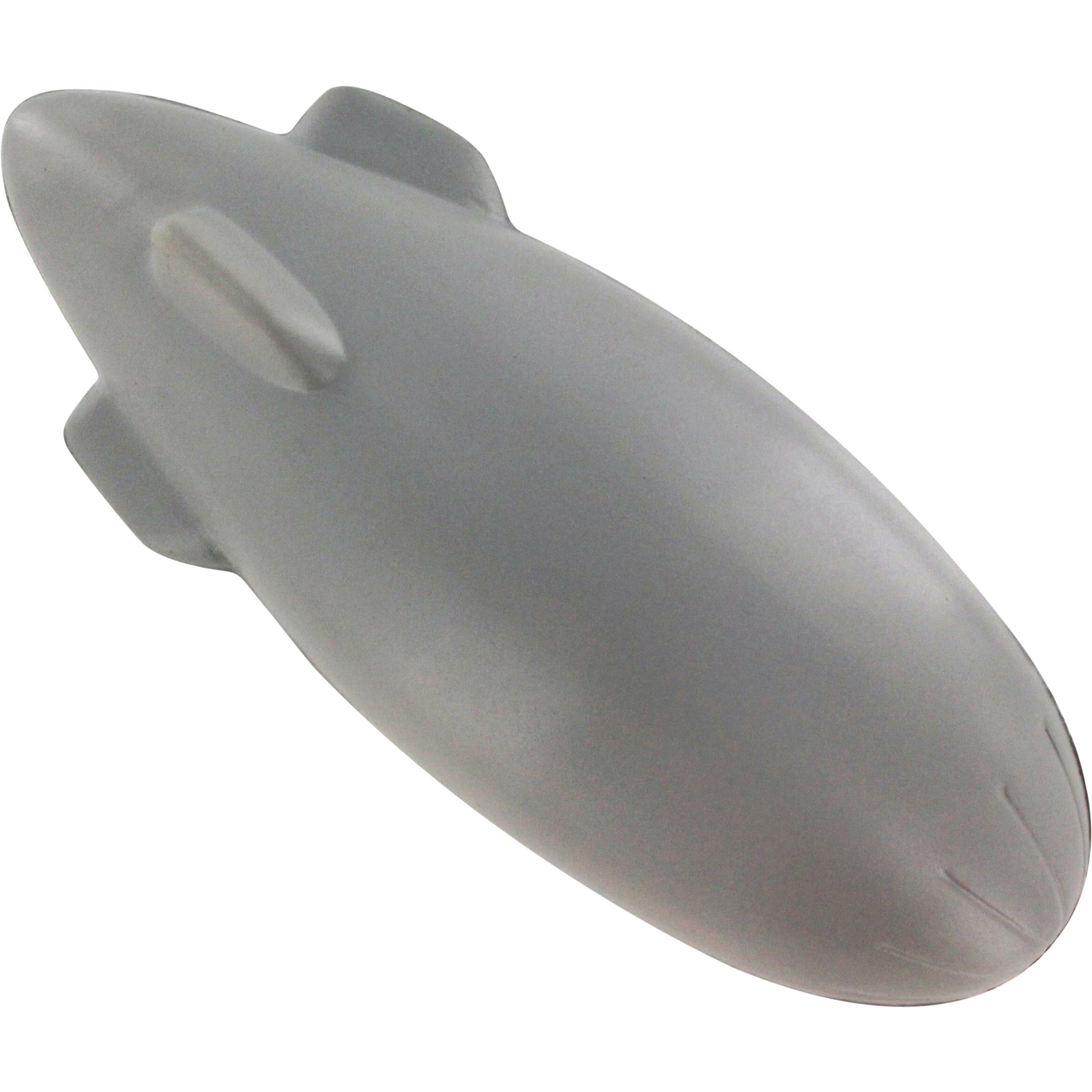Dirigible