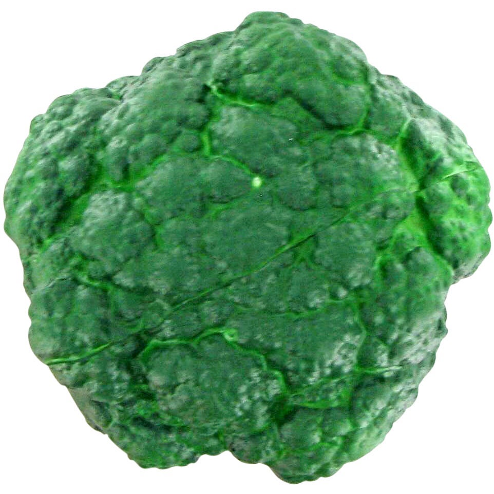 Broccoli