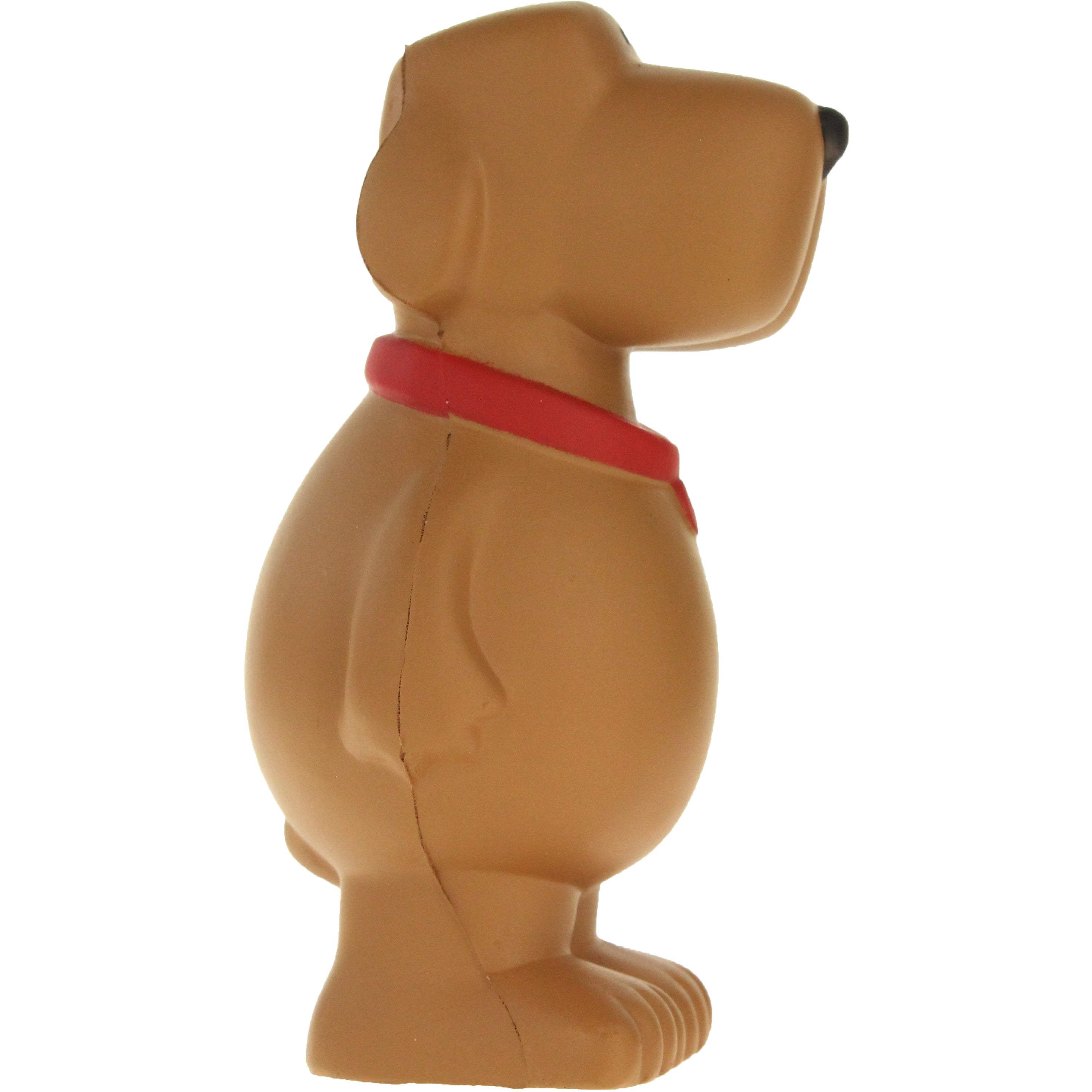 Perro