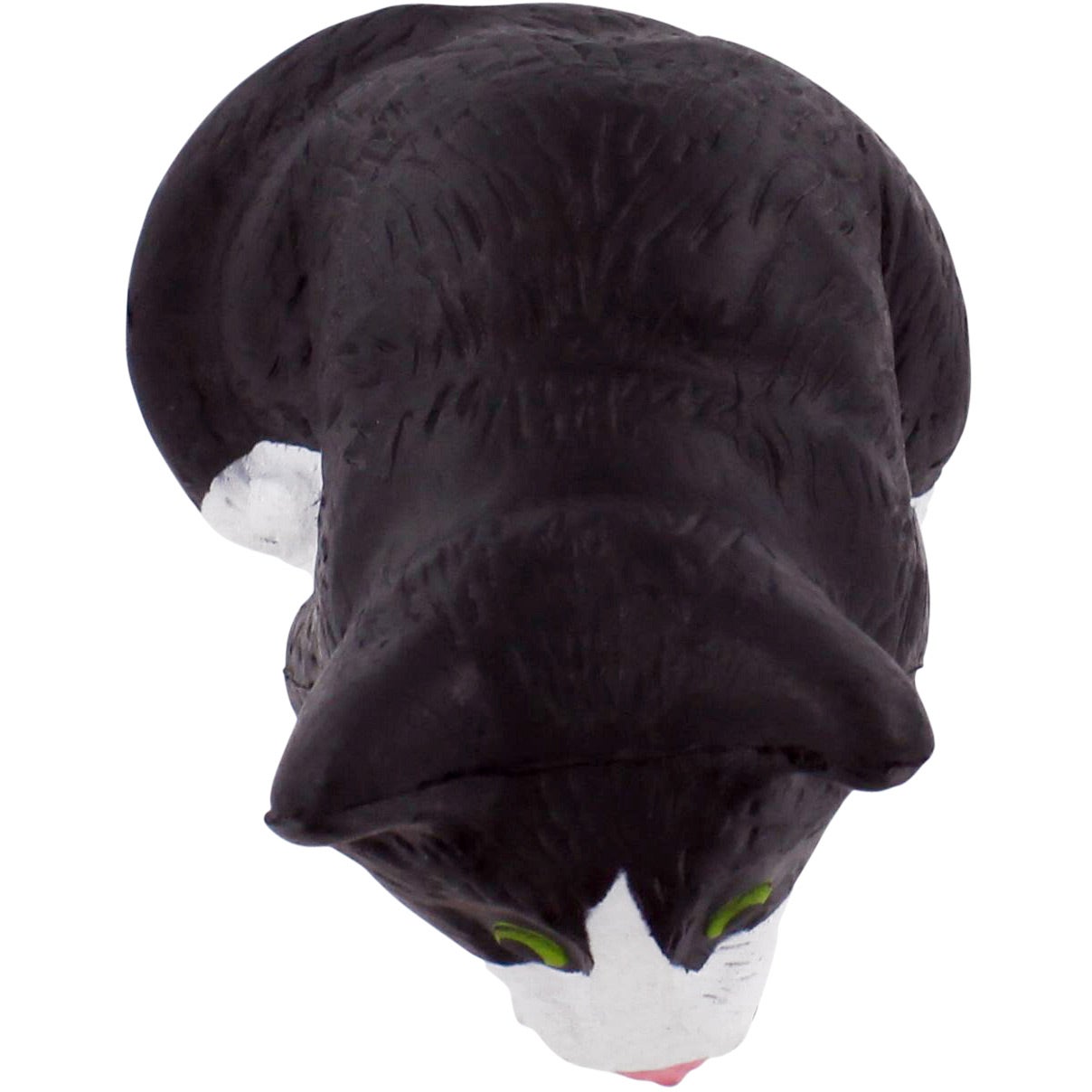 Gatos