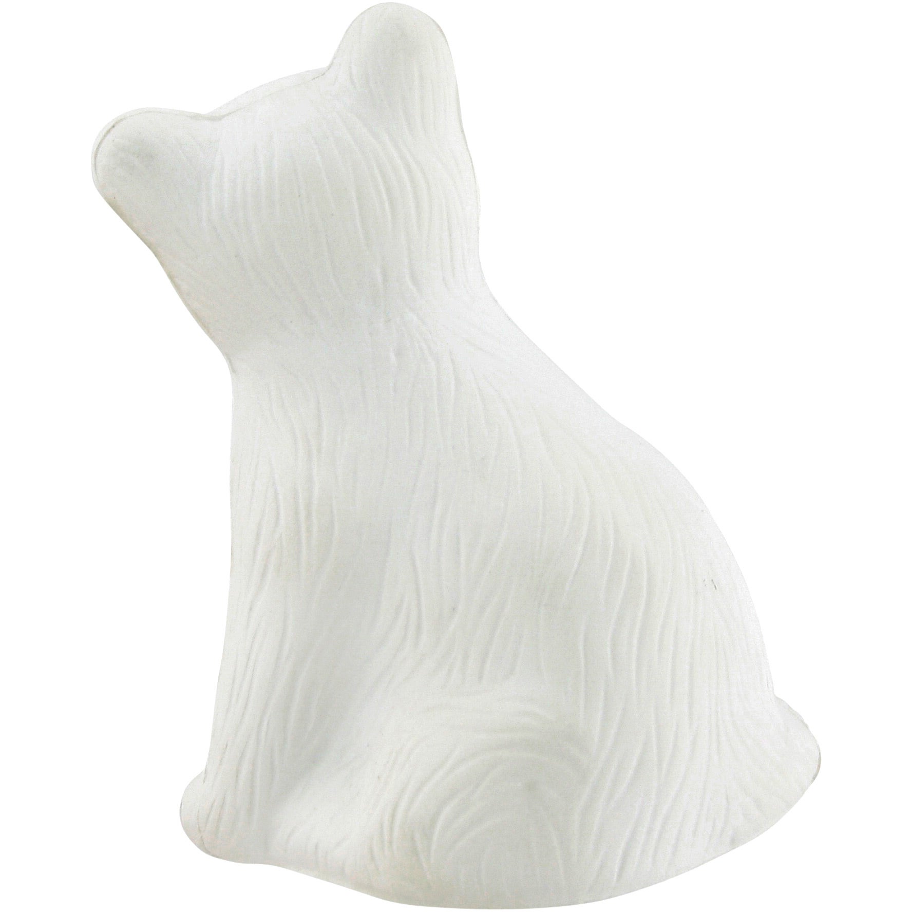 Gato