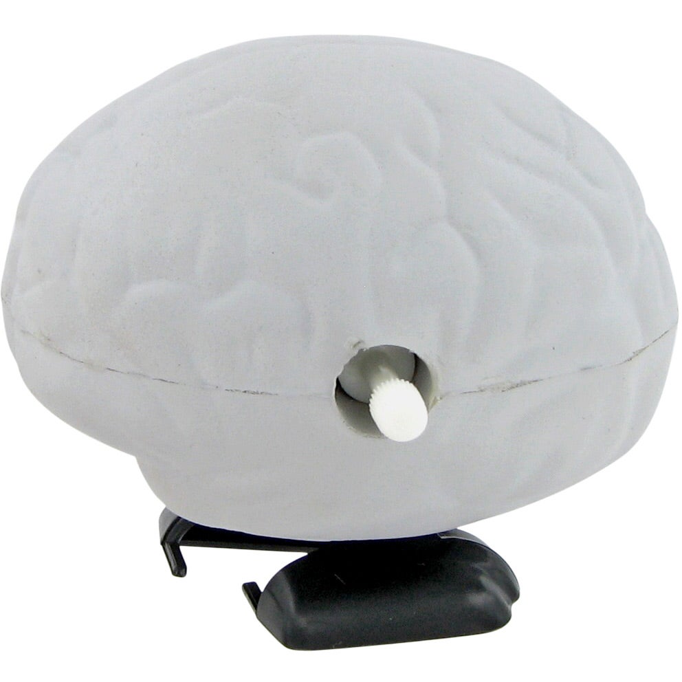 FIDO-DIDO Cerebro