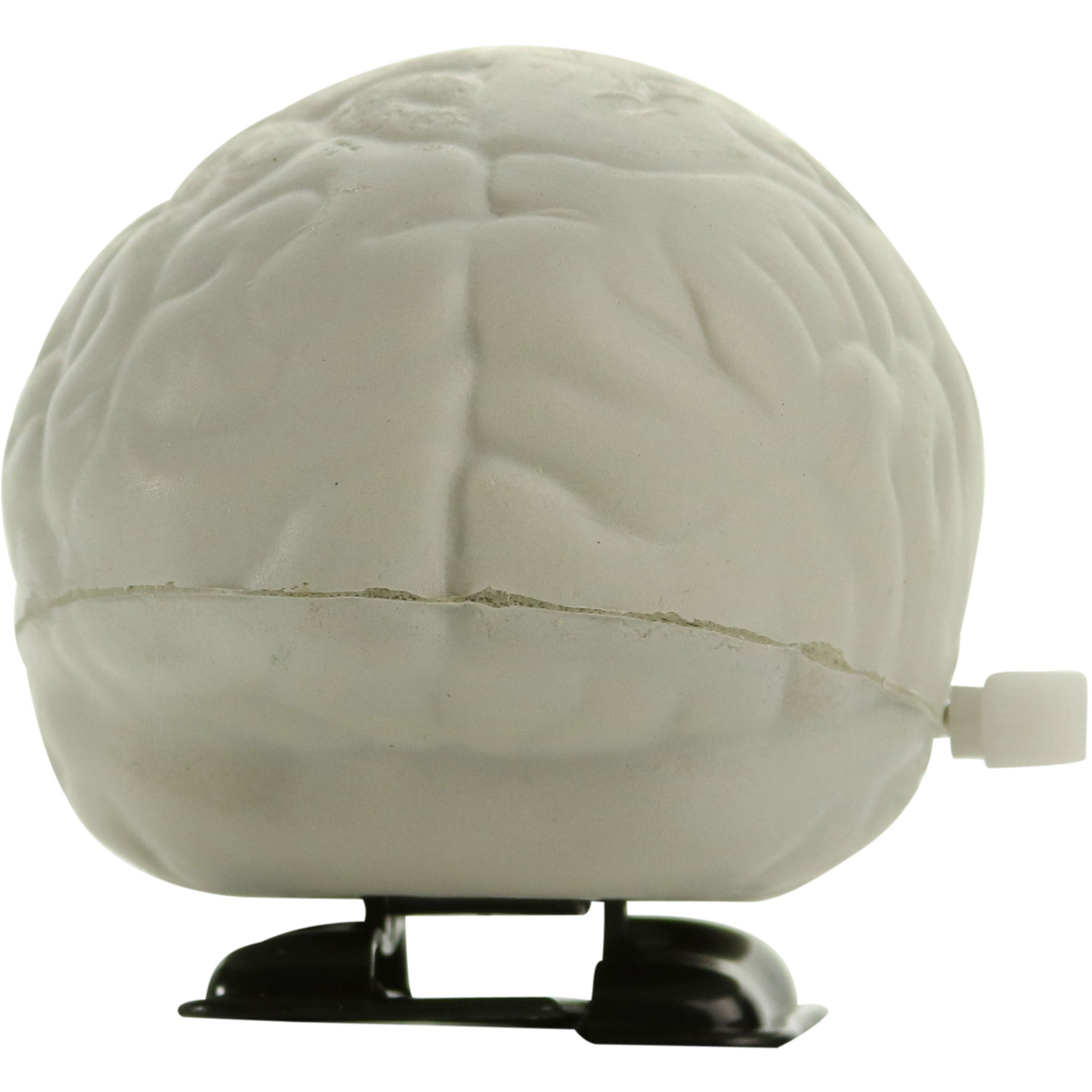 FIDO-DIDO Cerebro