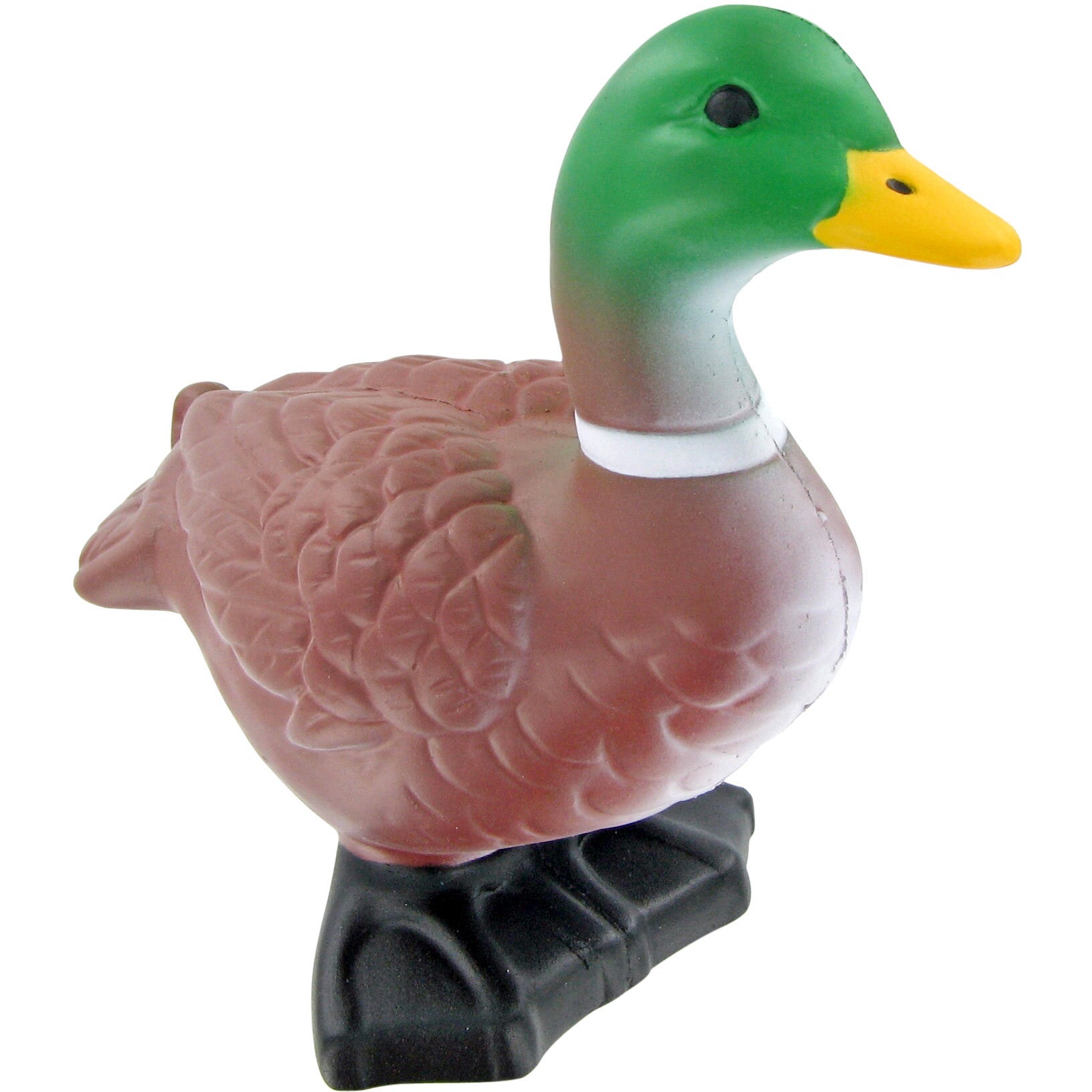 Pato de Campo