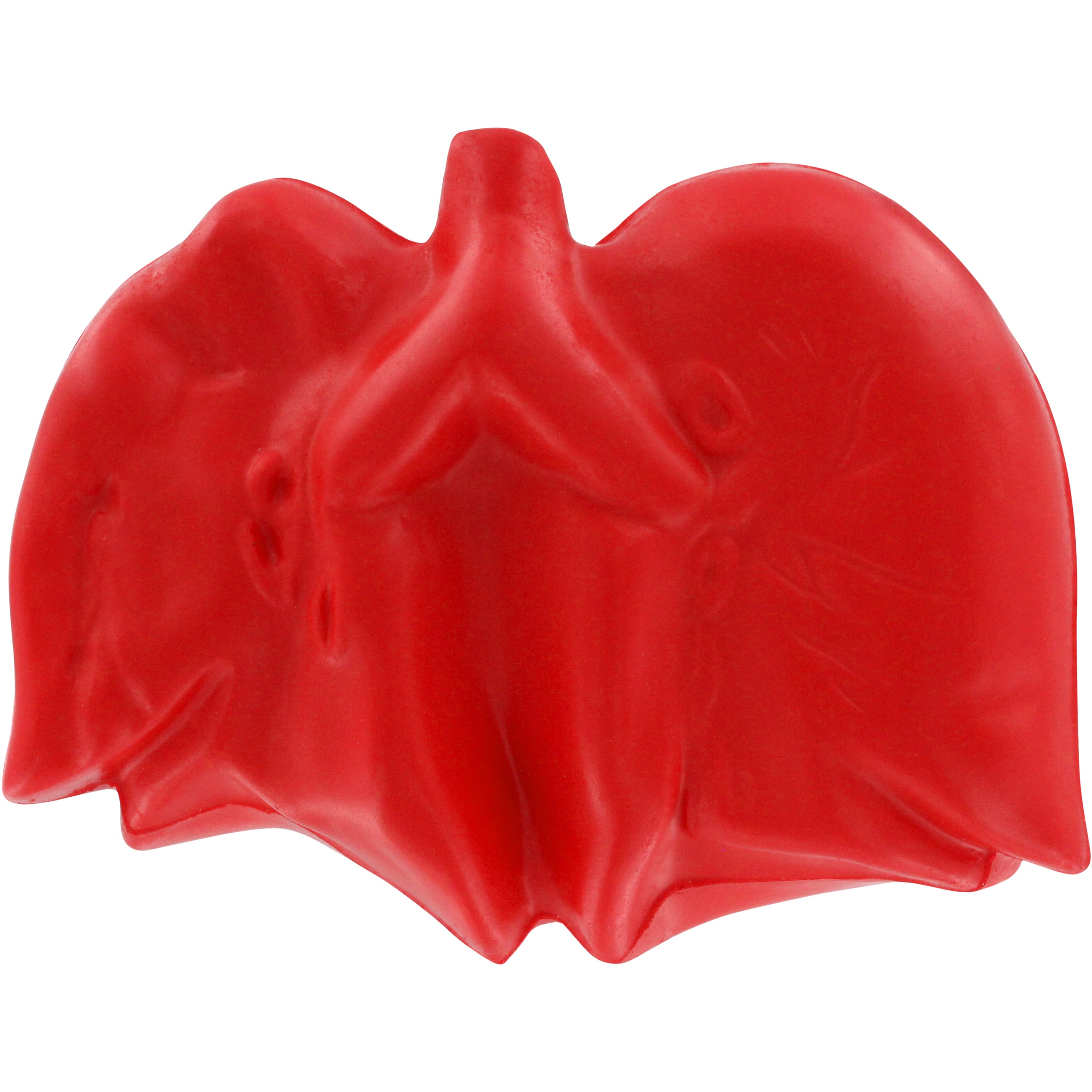 Pulmones
