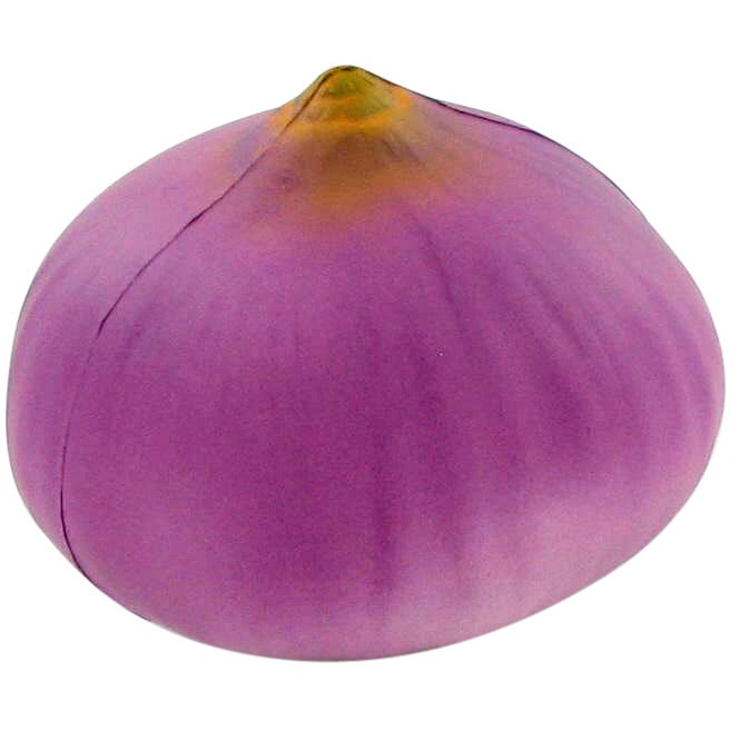 Cebolla
