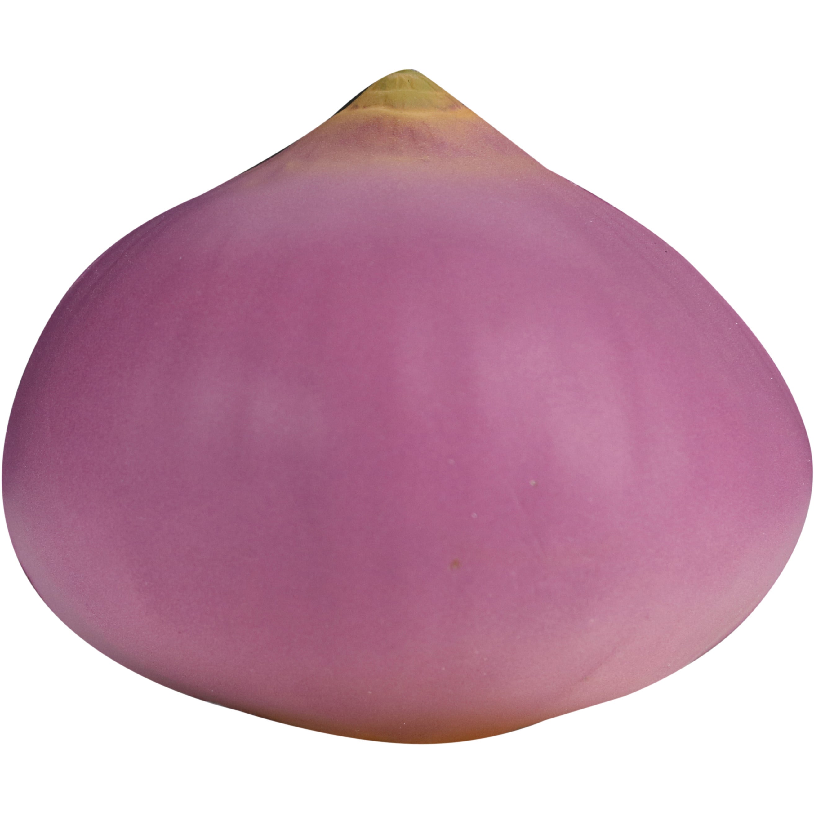 Cebolla