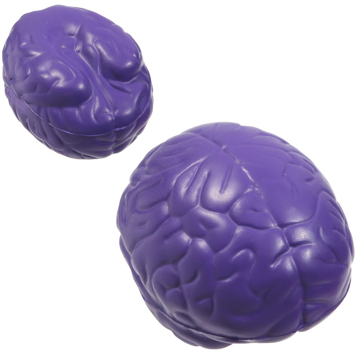 Cerebro