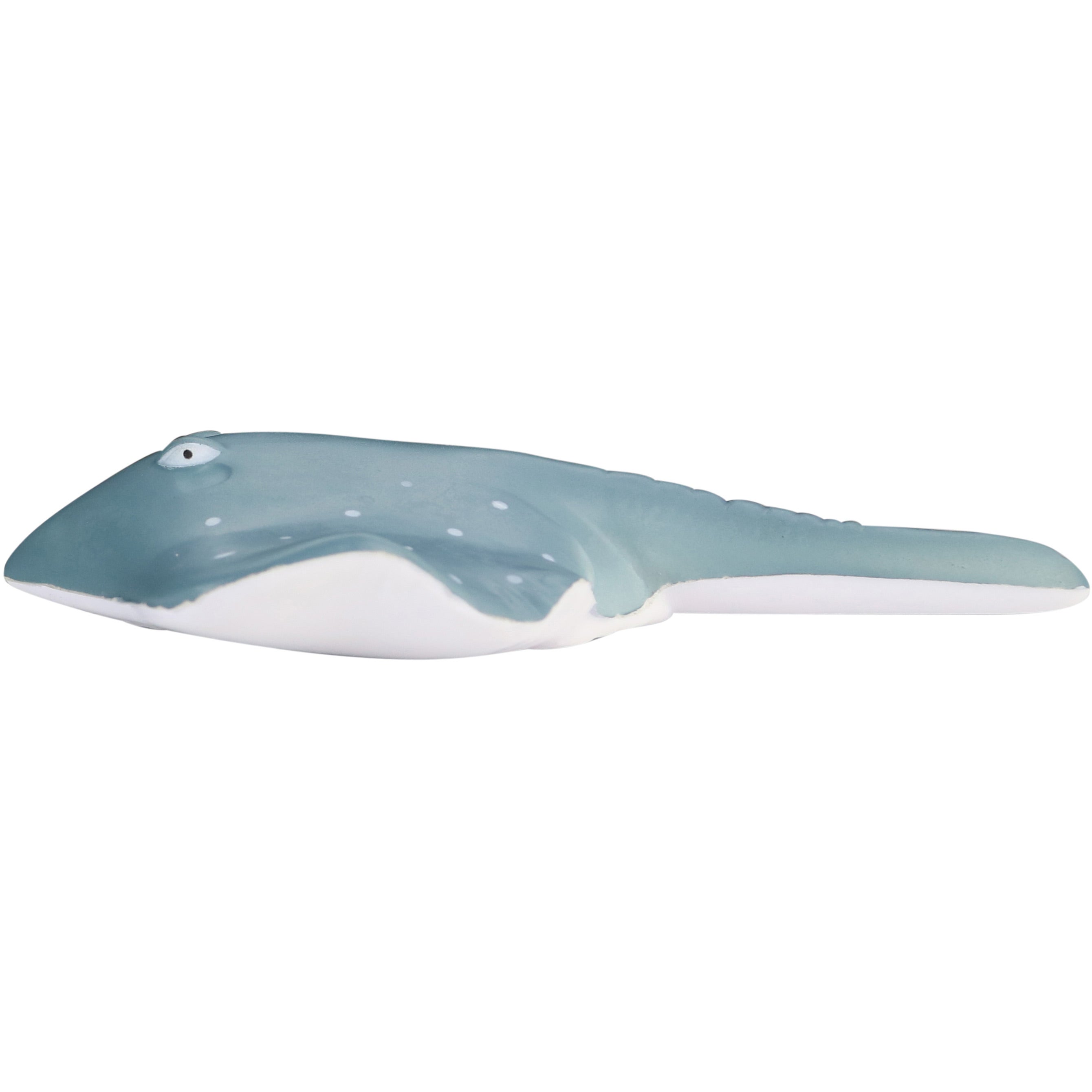 Mantarrayas