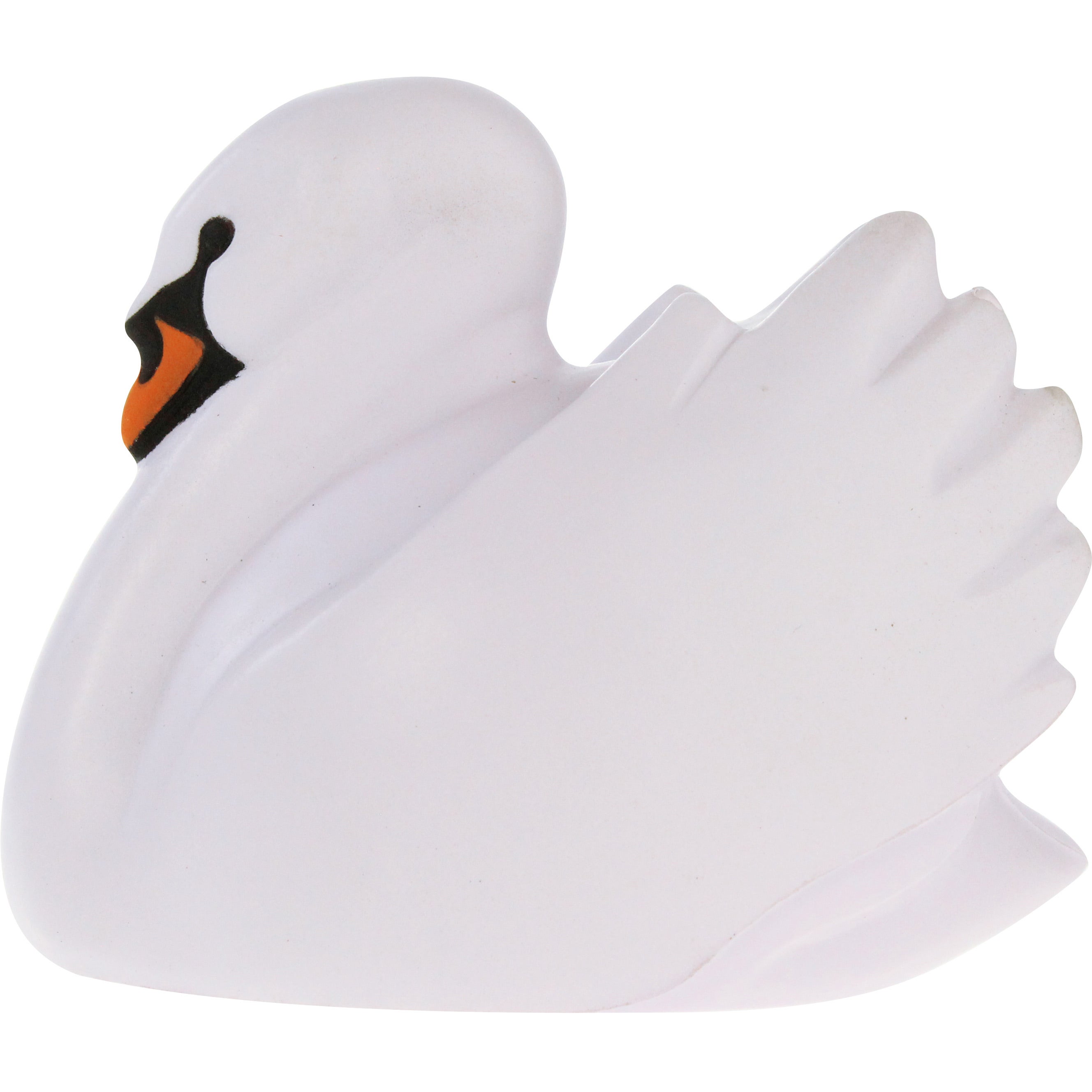 Cisnes