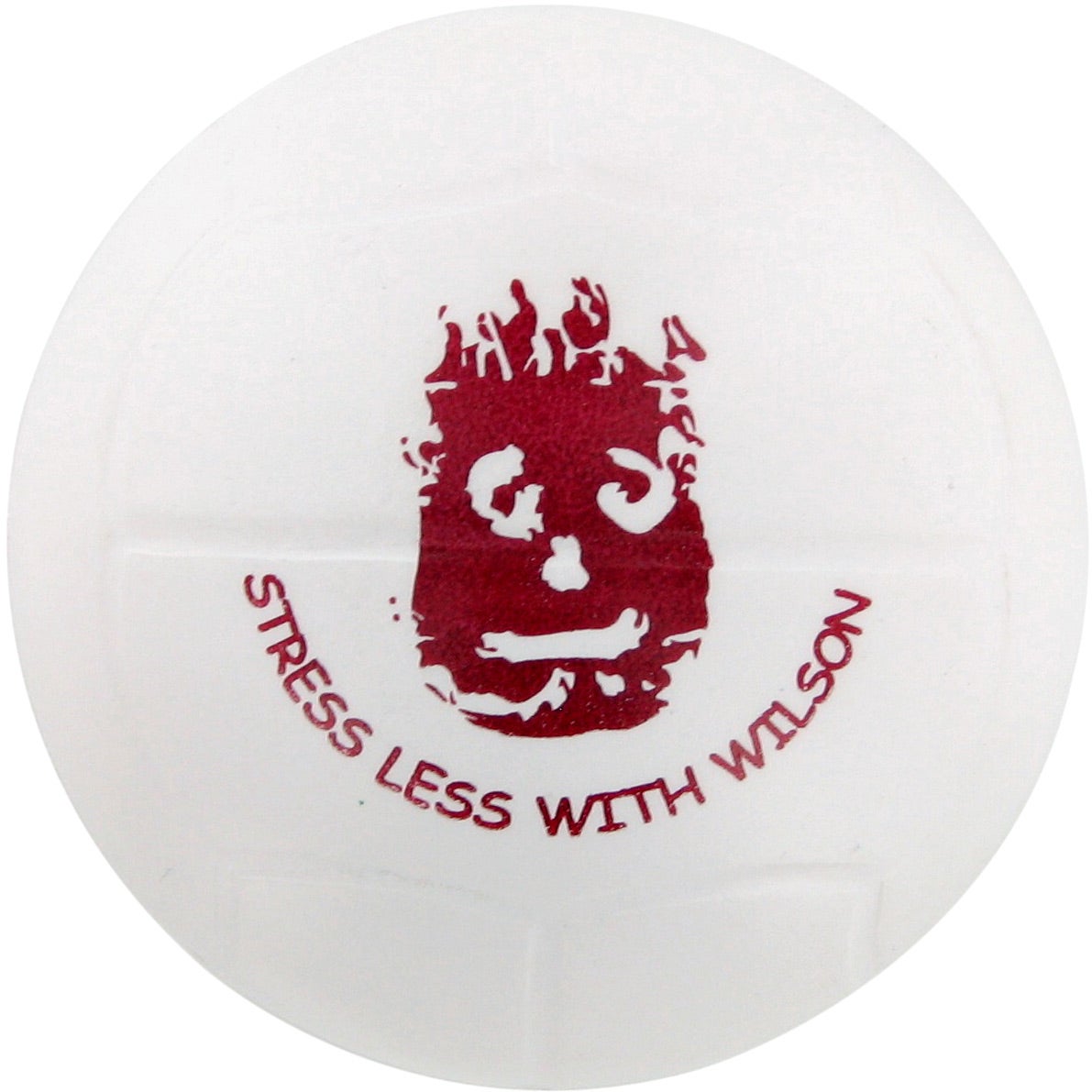 Balones Voleibol
